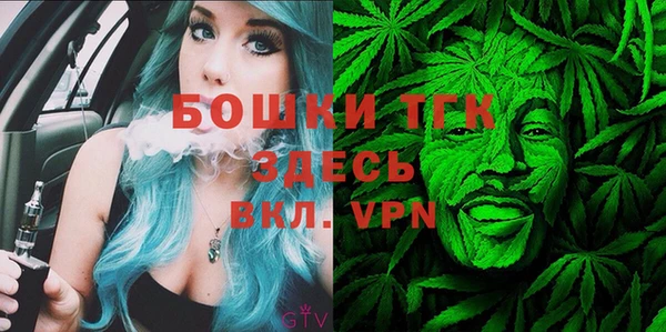 крисы Переславль-Залесский