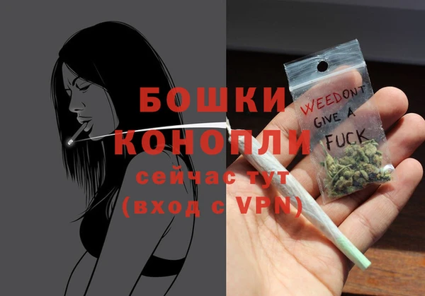 индика Остров