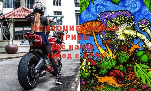 индика Остров