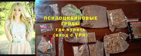 ALPHA-PVP Осинники