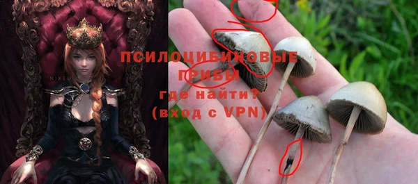 ALPHA-PVP Осинники