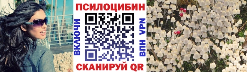 Псилоцибиновые грибы MAGIC MUSHROOMS  Купить закладки  Шлиссельбург 